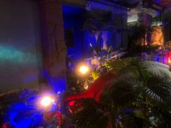 点击看大图 -恐龙探索乐园(磁器口店)