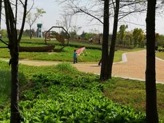 -同里国家湿地公园