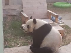 -南昌动物园