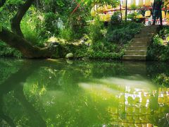 -杭州君悦酒店