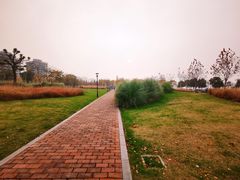 -上海山野camping·户外天幕烧烤·团建拓展营地