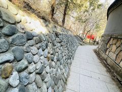 -北京凤凰岭