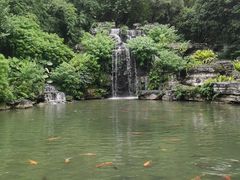 -柳侯公园