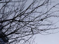 -唐城墙遗址公园