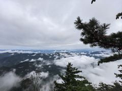 -秦岭天竺山生态文化旅游景区