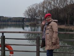 -昆山城市生态森林公园