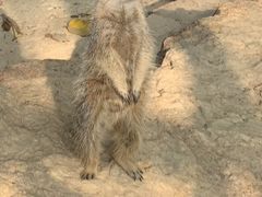 -李小龙乐园(顺德均安店)