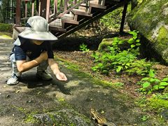 -汤旺河林海奇石景区