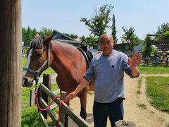 -田园东方蜜桃村的田野营地