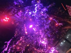-赢吧Bliss音乐酒吧