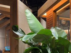 -园里火锅(仁和新城店)