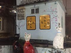 -猫咪博物馆(顶澳仔猫街店)