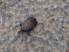 -沕沕水生态风景区