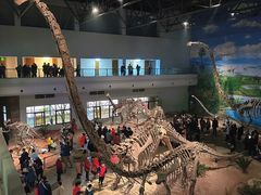 -自贡恐龙博物馆