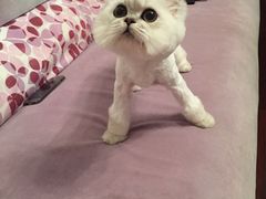 -Oh My Dog宠物沙龙(伊珊娜皮毛护理店)
