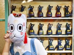 -猫咪博物馆(顶澳仔猫街店)