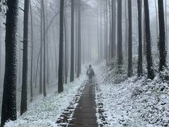 -莫干山风景区