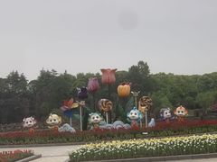 -上海鲜花港