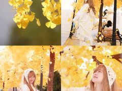 -Blue Concept Cafe&Farm·關於藍