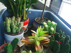 -纽斯桑拿会所(东绣路店)