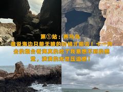 -东辰望海鱼码头·海鲜餐厅