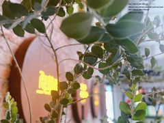 -鹿萤季·营地小馆(皇后公园店)