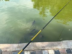 -酷鱼垂钓CLUB(朝阳区博大路店 )