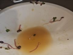 -醉霖生态餐厅(交大店)