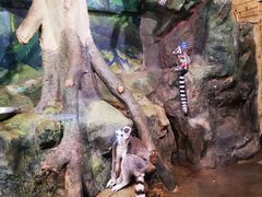 -洛阳龙门海洋馆