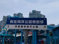 -海合安成都极地海洋公园