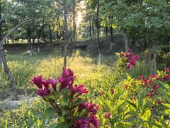 -大兴滨河森林公园