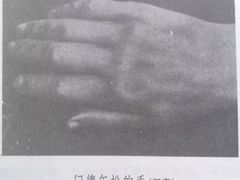 -刘健艺术钢琴学校·专注钢琴教育25周年(徐家汇校区)