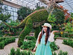 -沈阳植物园