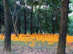 -杭州植物园