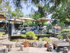 -蘇河湾·新鲁菜·泰山宴(泰山店)