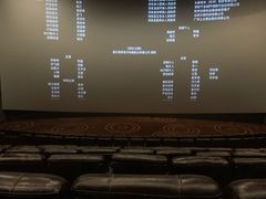 -万达影城(虎门万达广场IMAX店)