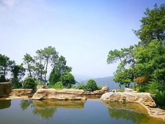 -铁山坪森林公园