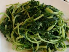 -云中小雅