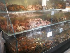-超级物种(省府店)