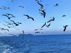 -威海国际海水浴场旅游区