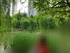 -后襄河公园
