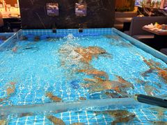 -山海•蒸汽活海鲜自助(皇庭广场店)