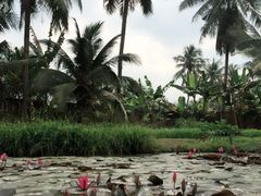 -Mekong Rest Stop