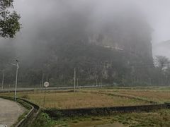 -明仕田园