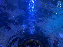 -华夏文旅西安度假区