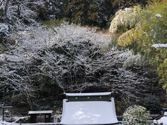 -瑞凤殿