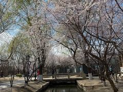 -春风习习