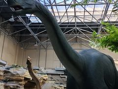 -国家自然博物馆