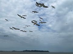 -长岛南北长山旅游景区