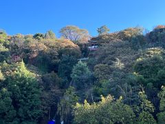 -大理洱海